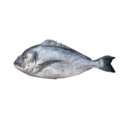Seabream Whole Farmed