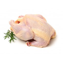 Chicken From Bresse Halal +/- 2KG / PC