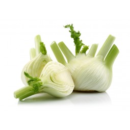 Fennel From Italy +/- 400g /PC
