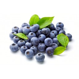 Blueberry Fresh 125g