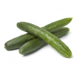 Fresh Cucumber From France +/- 1Kg