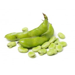 Fava Beans +/- 500g