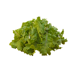 Kale Baby 125GR/ PCKT