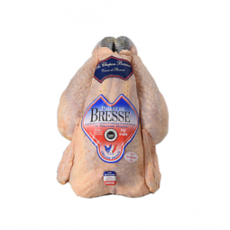 Poularde Chicken From Bresse Halal AOP +/- 1.5KG