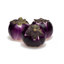 Big Eggplant Round +/- 700g / PC
