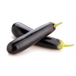 Black Long Eggplant / KG