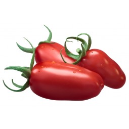 Big San Marzano Tomatoes +/- 500g