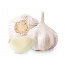 White Garlic  / 500G