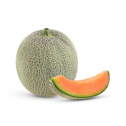 Melon Cantaloupe / PC
