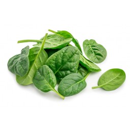 Spinach Baby Salad 125g / Pack