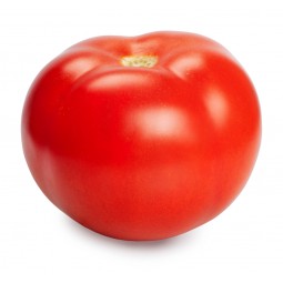 Fresh Tomatoes / KG