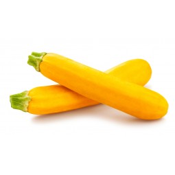 Zucchini Yellow Long / KG