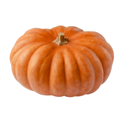 Large Pumpkin / PC