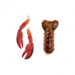 Raw Lobster Tails & Claws 1KG (7/8 PCS)