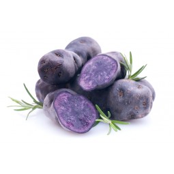 Purple Potatoes / KG