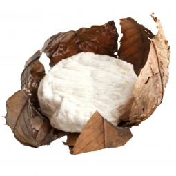 جبنة بانون (10غ-قطعة)
