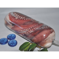 Octopus Carpaccio (Cooked)