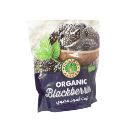 Organic Frozen Blackberries 300G