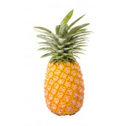 Pineapple Baby Victoria /PC
