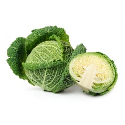 Cabbage Savoy From Italy +/- 700G