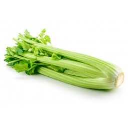 Celery Green From Italy +/- 500g