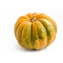 Pumpkin Zucca Delica +/- 2KG / PC