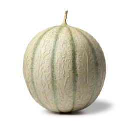 Melon Charentais
