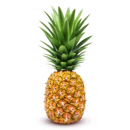 Pineapple Extra Sweet /PC
