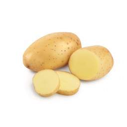 Potato Juliette +/- 1KG
