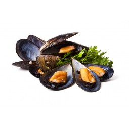 Organic Mussels Irish +/- 1 KG
