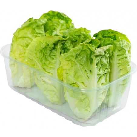 Lettuce Sucrine From France (6PCS/PCKT) | Fruits & Veggies | Classic
