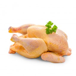 Premium Fresh Yellow Chicken +/- 1.3KG / PC