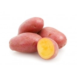 Pink Potatoes / KG
