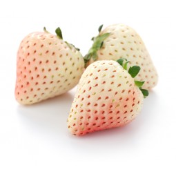 Pineberry (white strawberry) 100g / Basket