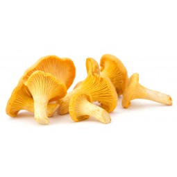 Mushroom Girolles 250g