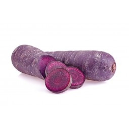 Purple Carrot +/- 1 KG