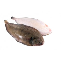 Dover Sole 600 - 800 GR /PC