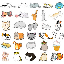 Cute Cat Vinyl Stickers 50PCS / Pack