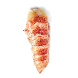 Raw "Shell-Off" Lobster Tails 90GR / PC