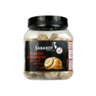 Snail Empty Shells (Extra Large) N6