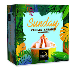 Ice Cream - Dundays Vanilla Caramel 4PCS / BOX