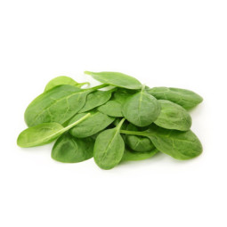 Salad Young Spinach Leaves