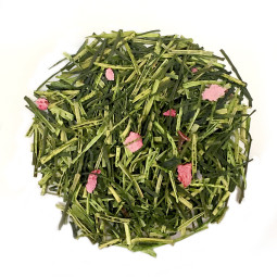 Luxury Retail Sakura Green Tea 100G / TIN