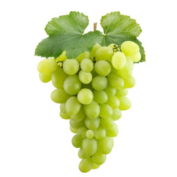 White Grapes Seedless / 1 KG