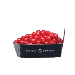 Red Currant Beekerberries / 125 GR