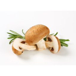 Chestnut Mushroom / 500 GR