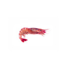 Gambero Rosso Prawns 27/30 XL