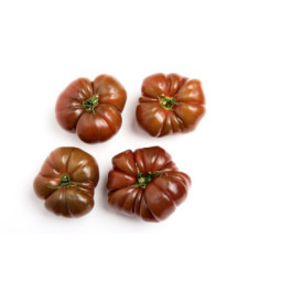 Tomato Black Provence