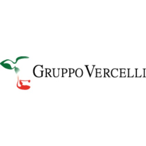 Gruppo Vercelli