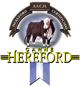 Carne Hereford